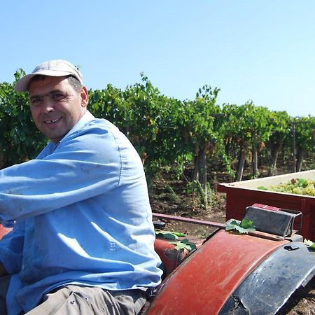 Agriturismo Torre Cristina Aprilia Kültér fotó