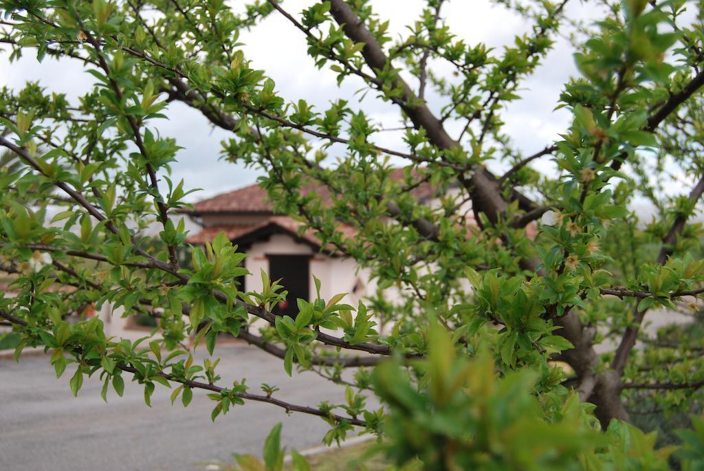 Agriturismo Torre Cristina Aprilia Kültér fotó
