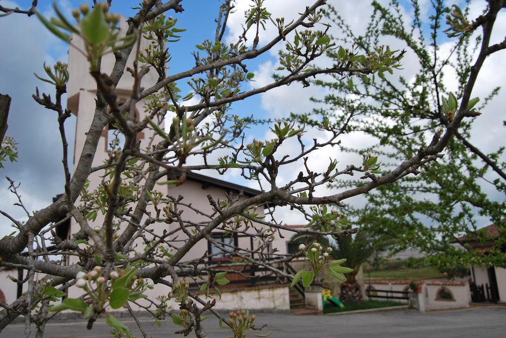 Agriturismo Torre Cristina Aprilia Kültér fotó