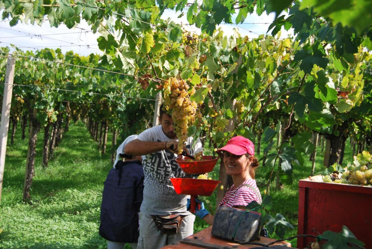 Agriturismo Torre Cristina Aprilia Kültér fotó
