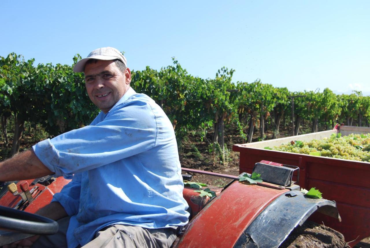 Agriturismo Torre Cristina Aprilia Kültér fotó
