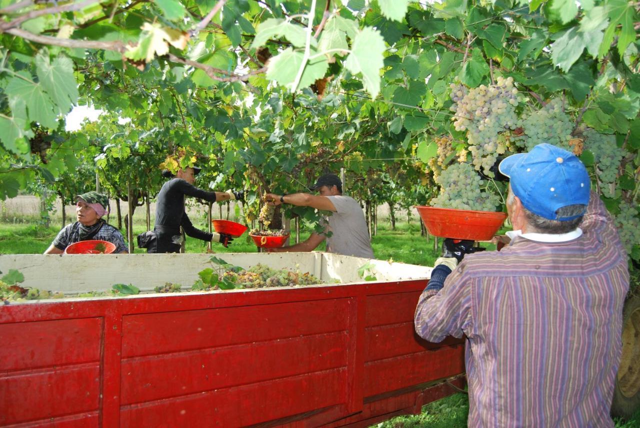 Agriturismo Torre Cristina Aprilia Kültér fotó